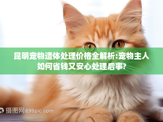 昆明宠物遗体处理价格全解析:宠物主人如何省钱又安心处理后事?