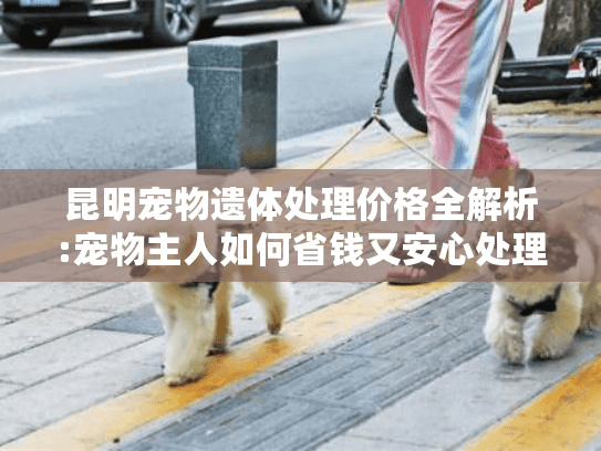 昆明宠物遗体处理价格全解析:宠物主人如何省钱又安心处理后事?