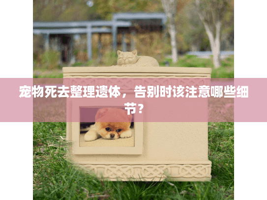 宠物死去整理遗体，告别时该注意哪些细节？