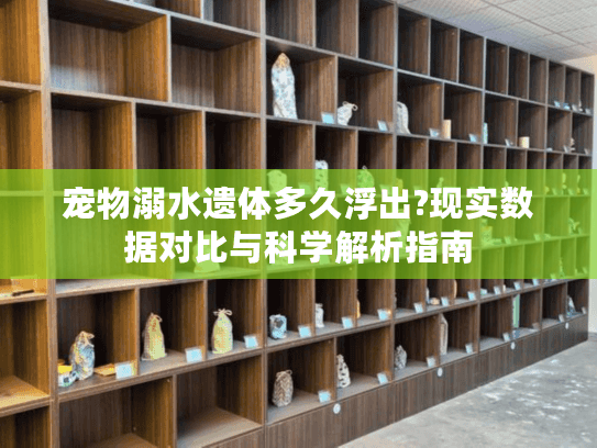 宠物溺水遗体多久浮出?现实数据对比与科学解析指南