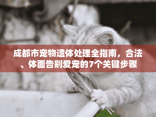 成都市宠物遗体处理全指南，合法、体面告别爱宠的7个关键步骤