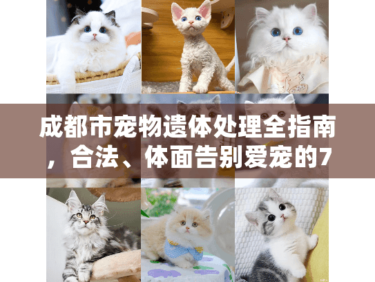 成都市宠物遗体处理全指南，合法、体面告别爱宠的7个关键步骤