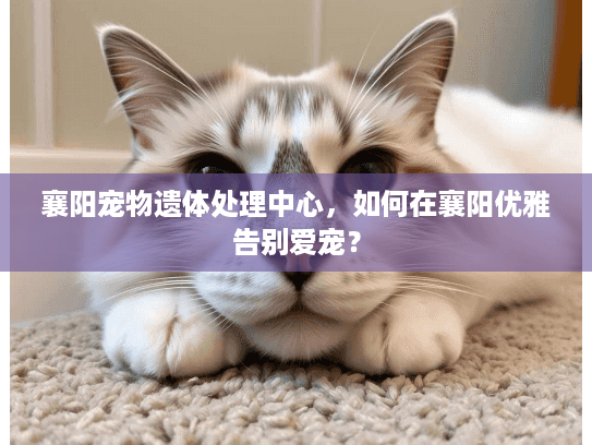 襄阳宠物遗体处理中心，如何在襄阳优雅告别爱宠？