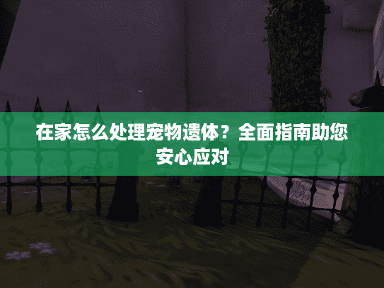 在家怎么处理宠物遗体？全面指南助您安心应对