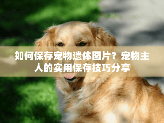 如何保存宠物遗体图片？宠物主人的实用保存技巧分享