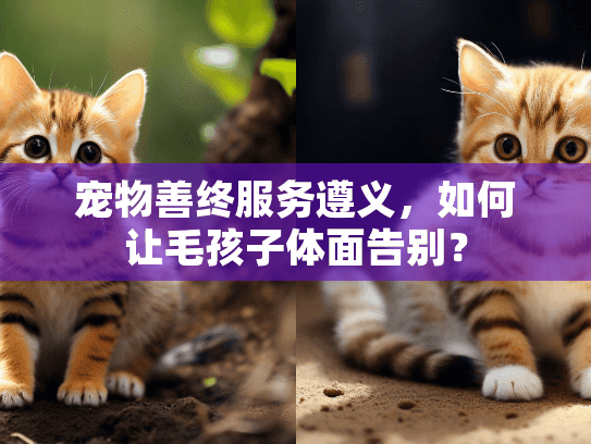 宠物善终服务遵义，如何让毛孩子体面告别？