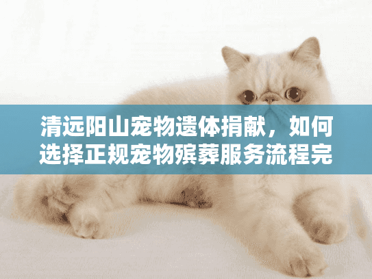 清远阳山宠物遗体捐献，如何选择正规宠物殡葬服务流程完整解析