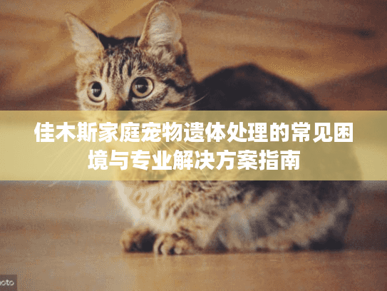 佳木斯家庭宠物遗体处理的常见困境与专业解决方案指南