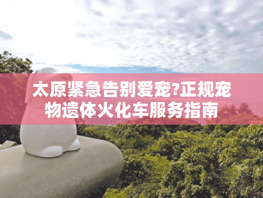 太原紧急告别爱宠?正规宠物遗体火化车服务指南