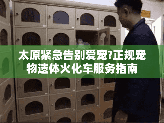 太原紧急告别爱宠?正规宠物遗体火化车服务指南