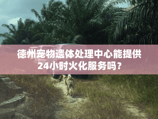 德州宠物遗体处理中心能提供24小时火化服务吗? 德州宠物遗体处理中心能提供24小时火化服务吗?