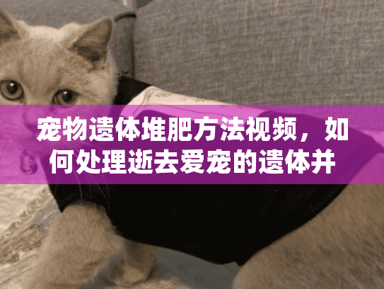 宠物遗体堆肥方法视频，如何处理逝去爱宠的遗体并自制环保堆肥