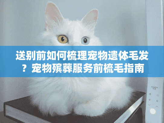 送别前如何梳理宠物遗体毛发？宠物殡葬服务前梳毛指南