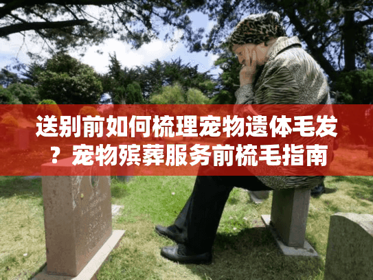 送别前如何梳理宠物遗体毛发？宠物殡葬服务前梳毛指南