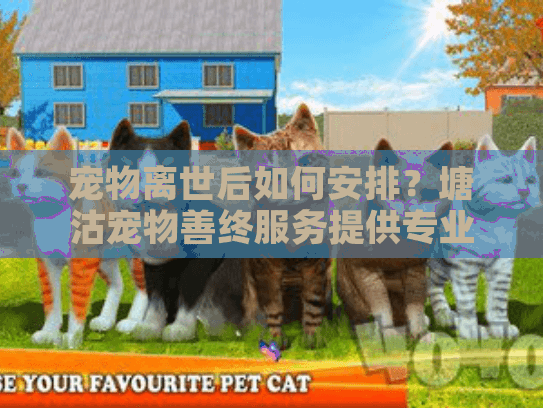 宠物离世后如何安排？塘沽宠物善终服务提供专业解决方案