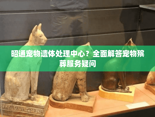 昭通宠物遗体处理中心？全面解答宠物殡葬服务疑问