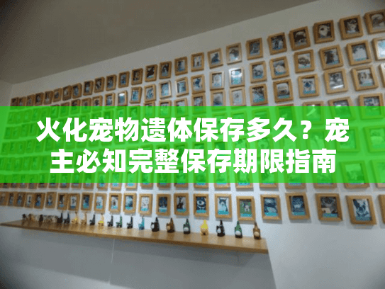 火化宠物遗体保存多久？宠主必知完整保存期限指南