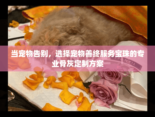 当宠物告别，选择宠物善终服务宝珠的专业骨灰定制方案