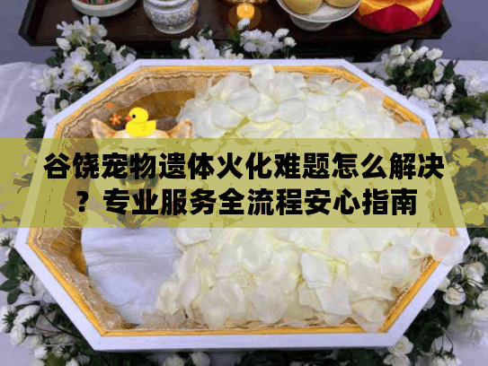 谷饶宠物遗体火化难题怎么解决？专业服务全流程安心指南
