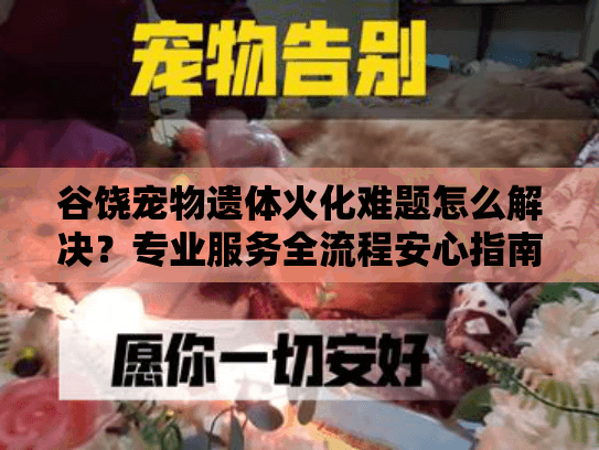 谷饶宠物遗体火化难题怎么解决？专业服务全流程安心指南