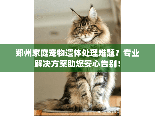 郑州家庭宠物遗体处理难题？专业解决方案助您安心告别！