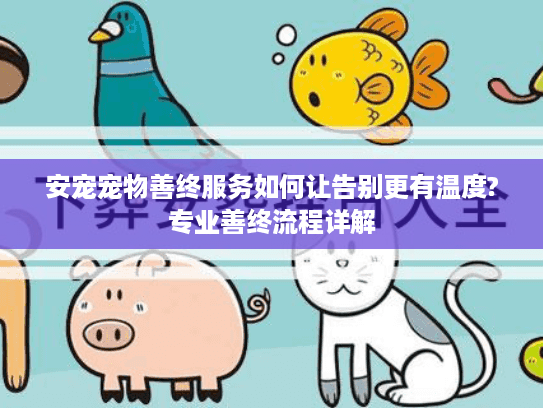 安宠宠物善终服务如何让告别更有温度?专业善终流程详解