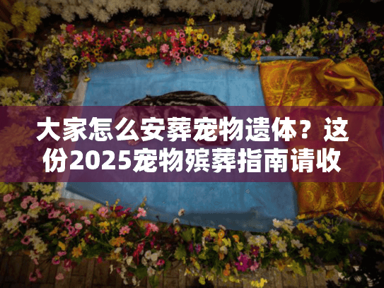 大家怎么安葬宠物遗体？这份2025宠物殡葬指南请收好