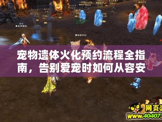 宠物遗体火化预约流程全指南，告别爱宠时如何从容安排？