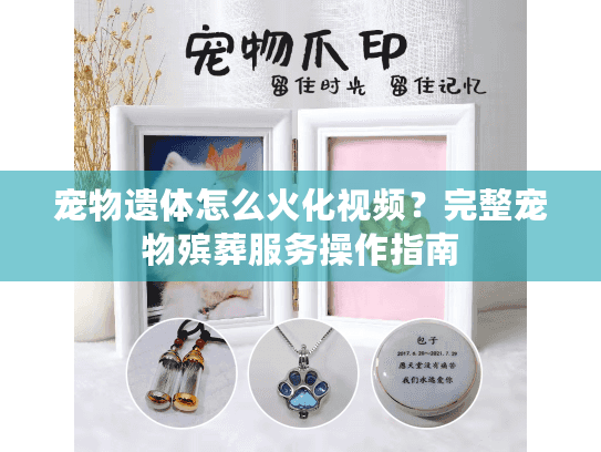 宠物遗体怎么火化视频？完整宠物殡葬服务操作指南