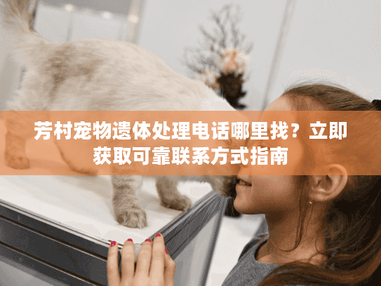 芳村宠物遗体处理电话哪里找？立即获取可靠联系方式指南