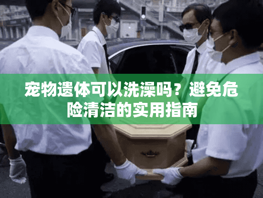 宠物遗体可以洗澡吗？避免危险清洁的实用指南