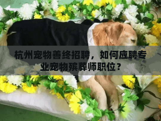 杭州宠物善终招聘，如何应聘专业宠物殡葬师职位？