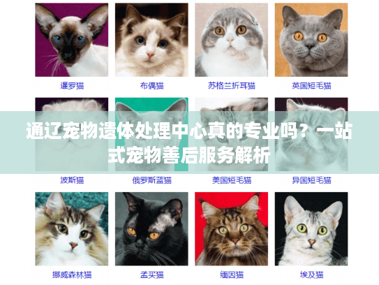通辽宠物遗体处理中心真的专业吗？一站式宠物善后服务解析