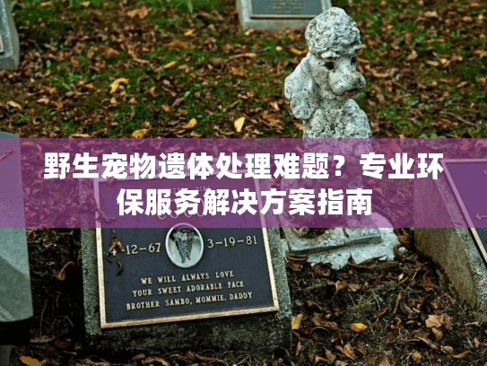 野生宠物遗体处理难题？专业环保服务解决方案指南