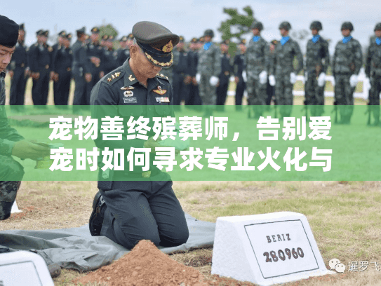 宠物善终殡葬师，告别爱宠时如何寻求专业火化与纪念服务？