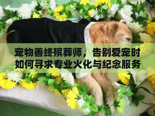 宠物善终殡葬师，告别爱宠时如何寻求专业火化与纪念服务？
