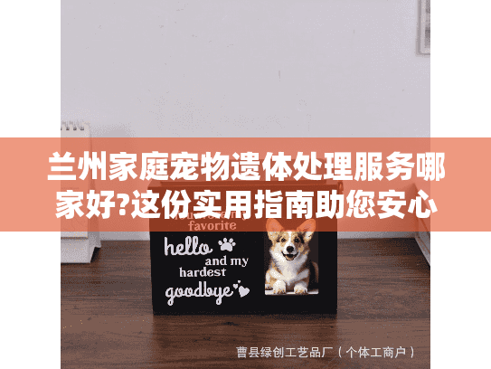 兰州家庭宠物遗体处理服务哪家好?这份实用指南助您安心送别