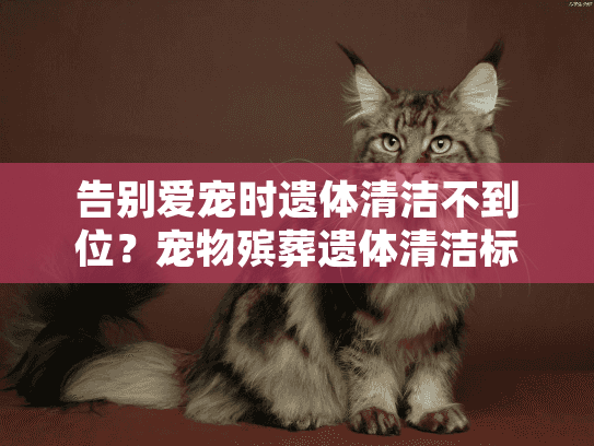 告别爱宠时遗体清洁不到位？宠物殡葬遗体清洁标准如何确保尊严告别