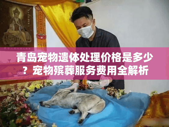 青岛宠物遗体处理价格是多少？宠物殡葬服务费用全解析