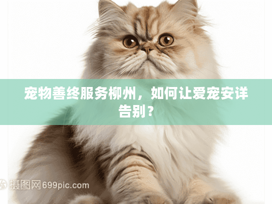 宠物善终服务柳州，如何让爱宠安详告别？