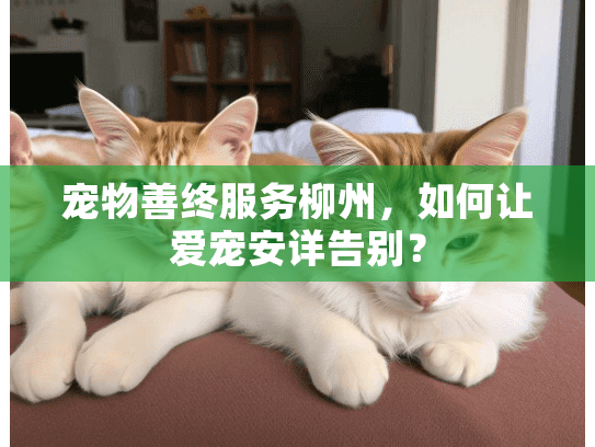 宠物善终服务柳州，如何让爱宠安详告别？