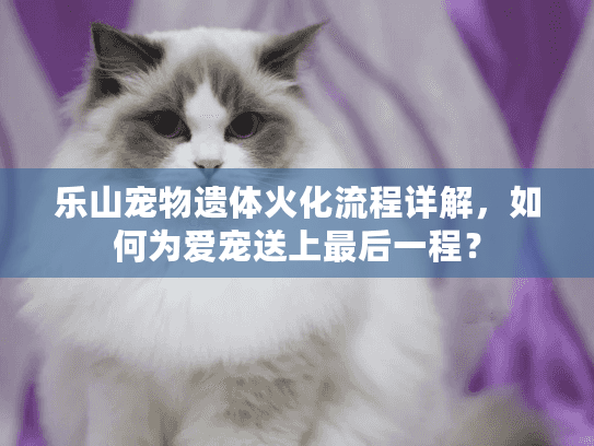乐山宠物遗体火化流程详解，如何为爱宠送上最后一程？
