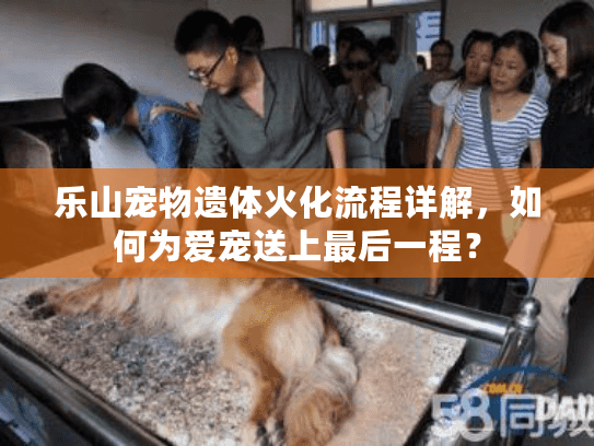乐山宠物遗体火化流程详解，如何为爱宠送上最后一程？