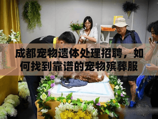 成都宠物遗体处理招聘，如何找到靠谱的宠物殡葬服务团队？