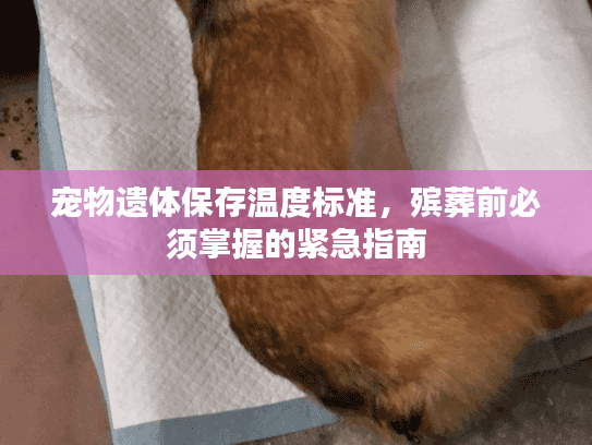 宠物遗体保存温度标准,殡葬前必须掌握的紧急指南 宠物遗体保存温度标准,殡葬前必须掌握的紧急指南