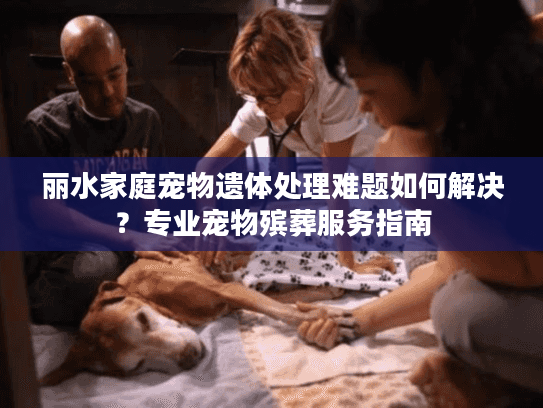 丽水家庭宠物遗体处理难题如何解决？专业宠物殡葬服务指南