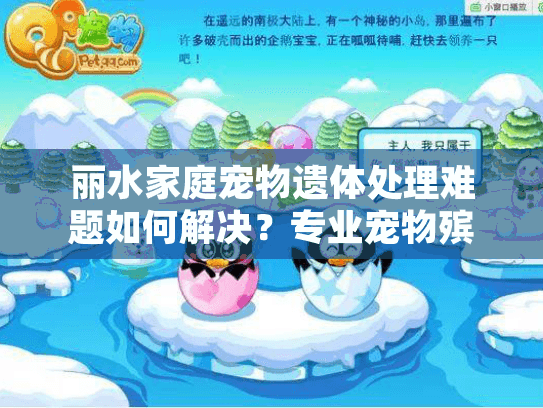 丽水家庭宠物遗体处理难题如何解决？专业宠物殡葬服务指南