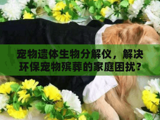 宠物遗体生物分解仪，解决环保宠物殡葬的家庭困扰？