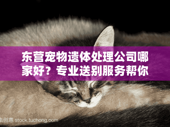 东营宠物遗体处理公司哪家好？专业送别服务帮你度过艰难时刻