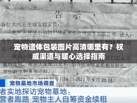 宠物遗体包装图片高清哪里有？权威渠道与暖心选择指南